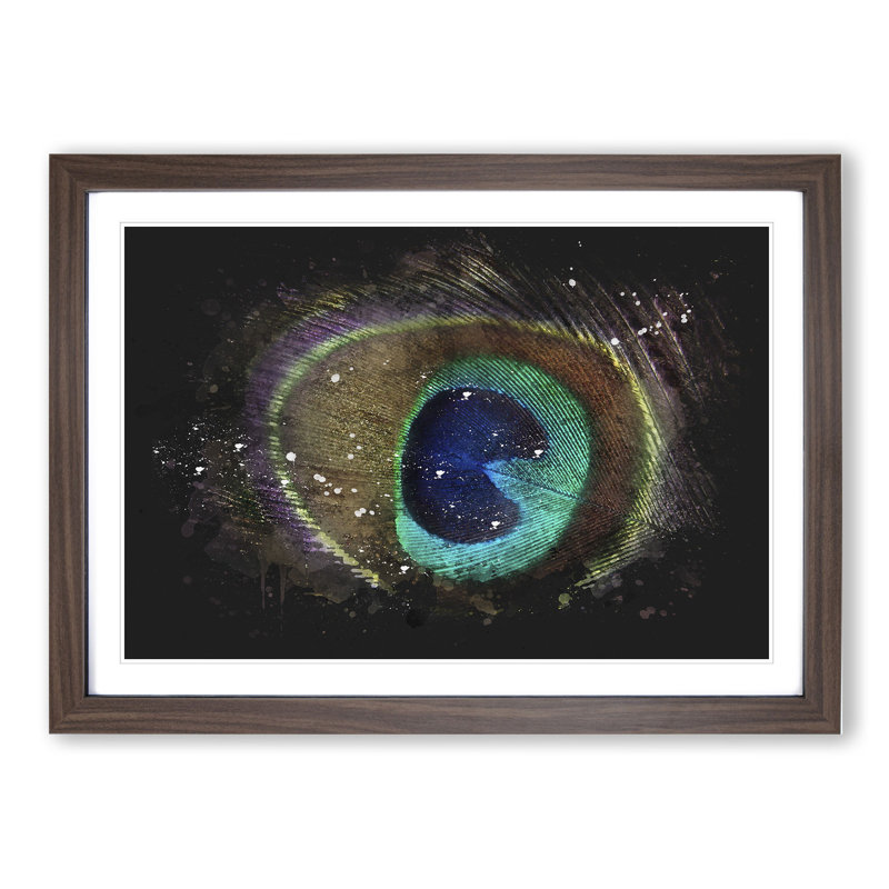 Peacock Feather - Picture Frame Graphic Art, Walnut Framed, 36cm H x 48cm W x 2cm D