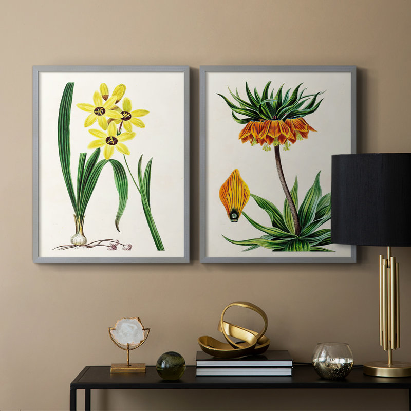 AntiqueFloralFolioVI - reproduction encadrée de qualité supérieure - prête à être accrochée - aucun clou requis - aucun clou requis