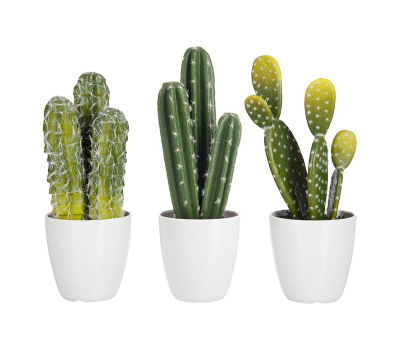 29 cm H Faux Cactus Plant