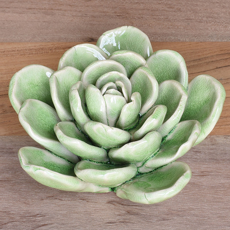 Fleur de désert en céramique Arciniega, Vert, H 3,5 po x l 5,5 po x P 5,5 po