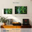 Jungle d'Alvord-108000525
