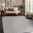 Nadene Gray Indoor Area Rug-479187709