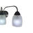 4 - Light Dimmable Vanity Light