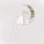 Wall Decal