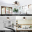 Tavontae 24'' Ceiling Fan with LED Lights-313078641