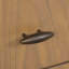 Table basse Haven