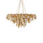 Lucullan 14 - Light Wrought Iron Chandelier