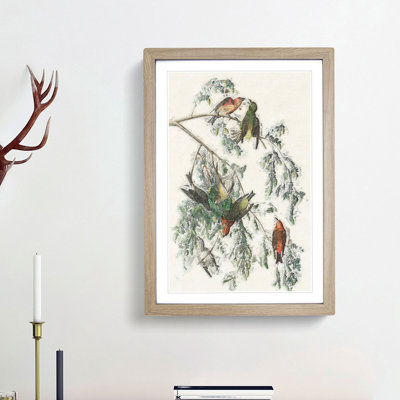 American Crossbill Birds by John Audubon - Single Picture Frame Painting