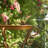 Leeming Metal Freestanding