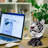 Resin Rustic Wildlife White Tiger Bust Freestanding Tabletop Sculpture Collectible for Home or Office Décor