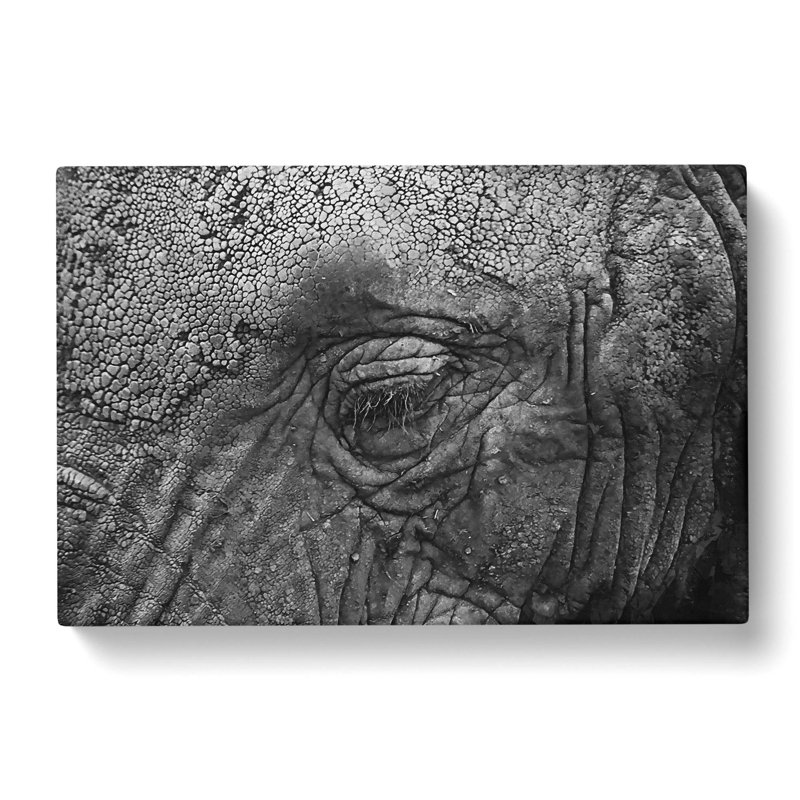 Elephant - Wrapped Canvas Print, 60cm H x 91cm W x 3cm D