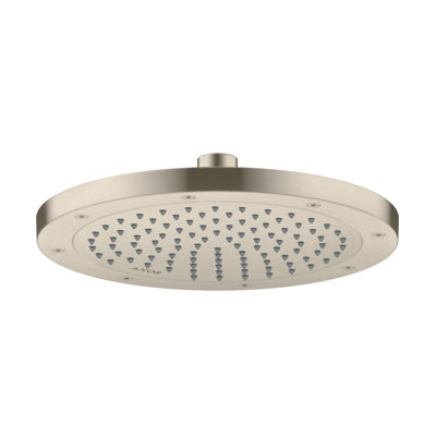 Rain Fixed Shower Head