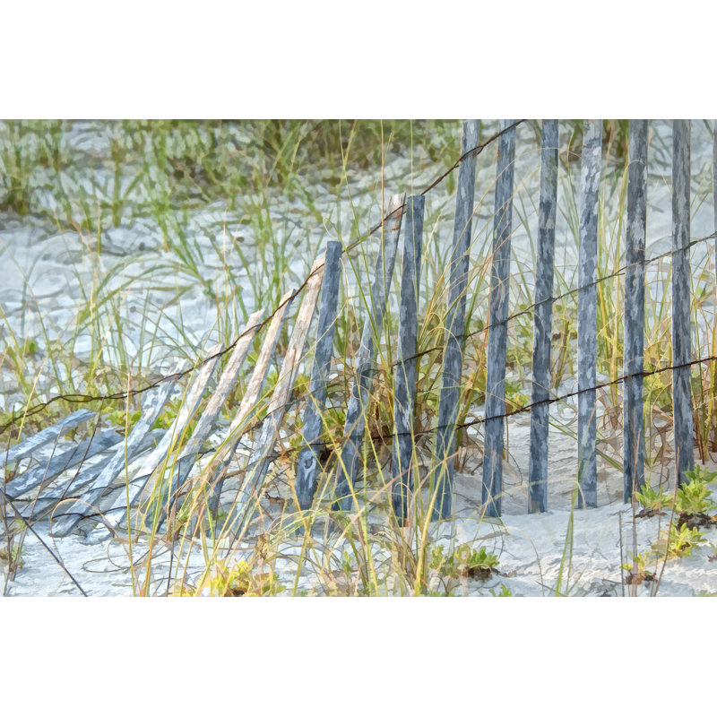 Sea Oats II - Wrapped Canvas Print, 30cm H x 46cm W x 3.8cm D