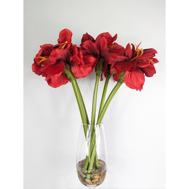 Amaryllis arrangement dans un vase
