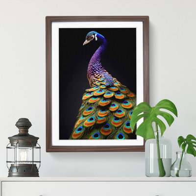 XV1022-159X A Stunning Peacock - Single Picture Frame Print