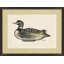 Woodland Decoy 2 Painting