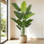 Arbre de paradis artificiel 6,5 pi en pot de ciment noir - grande plante tropicale artificielle pour la décoration de plancher intérieur (sans pot)-1131895827-1131895831