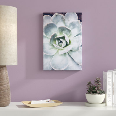Pastel Succulent Beauty IV by Irena Orlov - Photograph Print