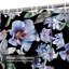 Rideau de douche sans soudure à fleurs noires et sarcelle avec 12 crochets-477400154