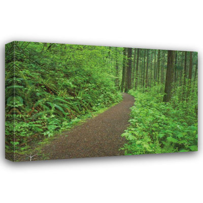 Union Rustic Majchrowicz, Alan Gallery Wrapped Canvas Art Titled Hiking Trail in Columbia River Gorge I