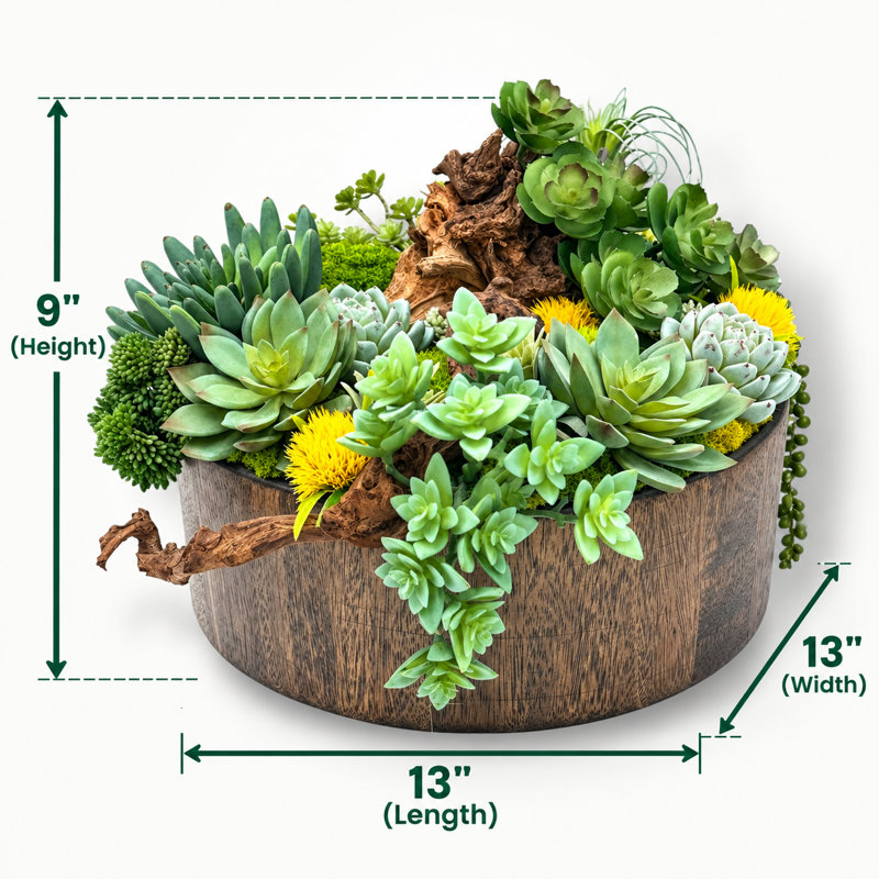 Arrangement de plantes grasses artificielles espresso | Centre de table rustique moderne (l 13 po)