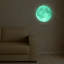 Astrology & Stars Non-Wall Damaging Wall Decal-1729278561