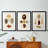 Knorr Shells IV  -Custom Framed  Premium Print W Matt - 3 Pieces