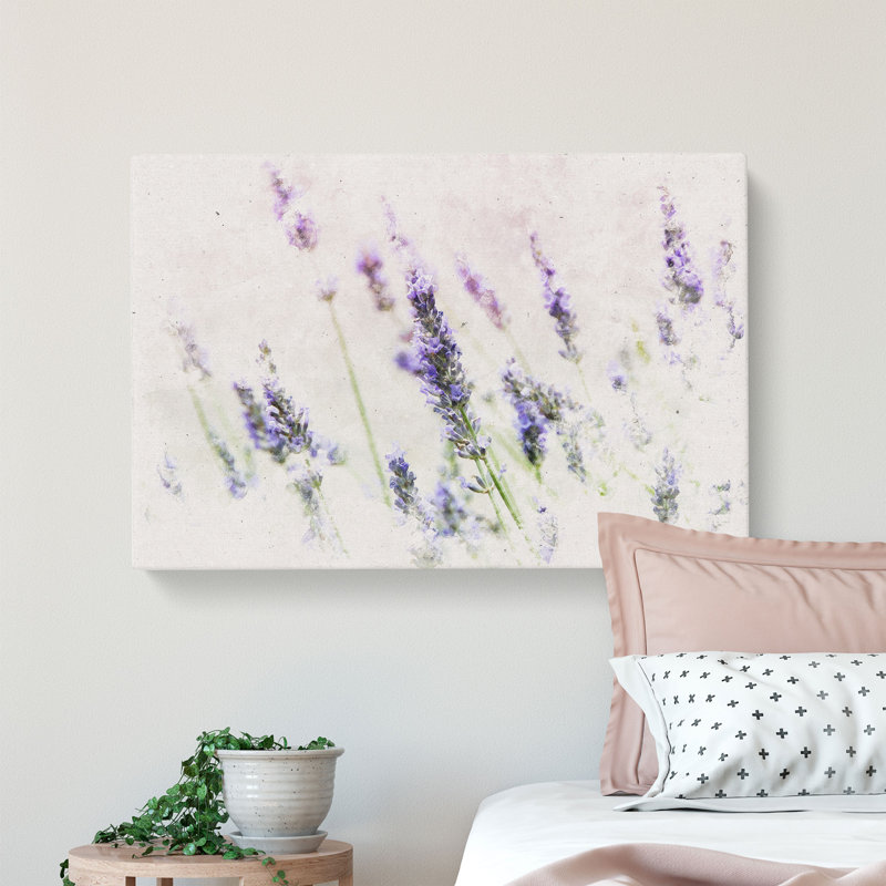 A Field Of Lavender - Wrapped Canvas, 40cm H x 60cm W x 3cm D