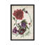 «Antique Peony I», impression sur toile-32566113-72130928