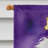 Double Sided 40'' H x 28'' W Polyester Mardi Gras House Flag
