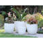 Grands pots de fleurs en grès cérame Big Sonoma, ensemble de 4 - Intérieur/Extérieur-1472153381-1472153564