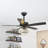 Micah 52'' Crystal Chandelier Ceiling Fan with Light Kit and Remote Control-2073542691