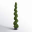 Arbre en spirale de buis vert Wolfdale-20583856