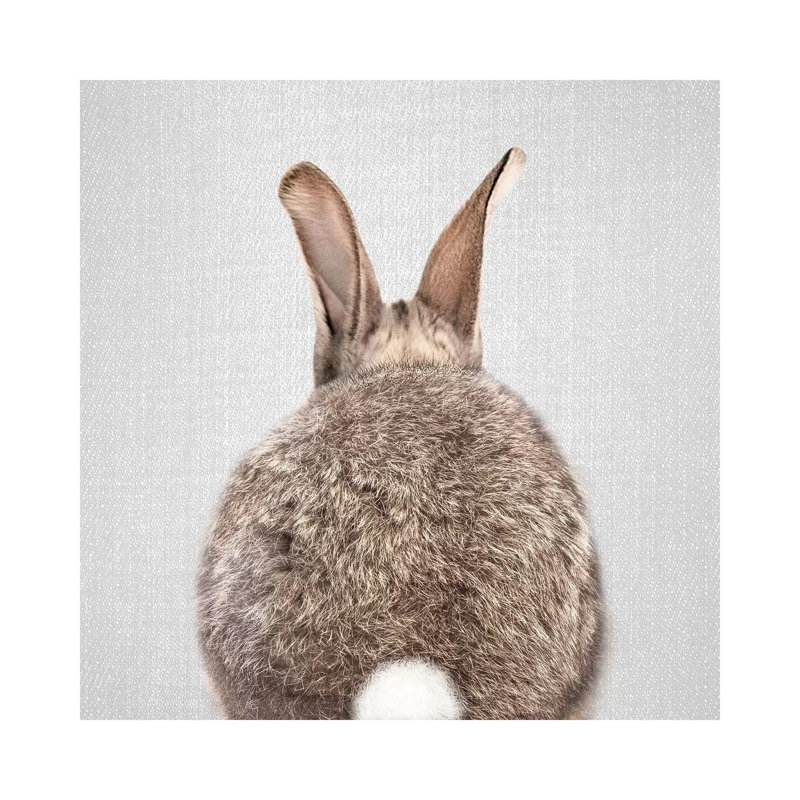 Rabbit Tail - Wrapped Canvas Print, 45.72 cm H x 45.72 cm W x 1.91 cm D