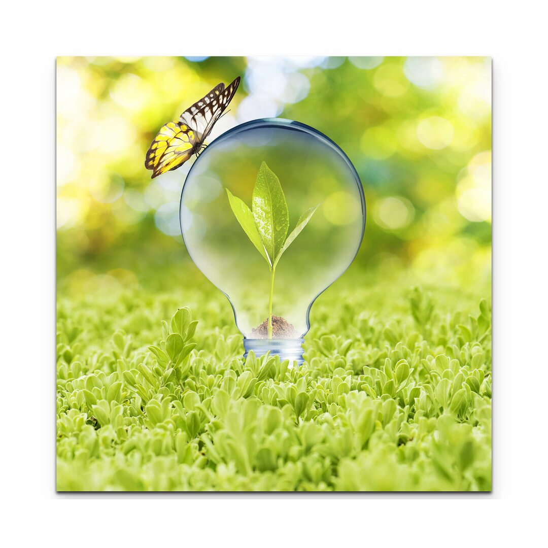 Leinwandbild Plant Sprout in Glühlampen mit Schmetterling