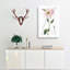 Pink Coneflowers - Wrapped Canvas-55325551