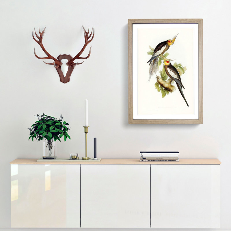 Cockatoo Parakeets by Elizabeth Gould - Picture Frame Painting, 65cm H x 48cm W x 2cm D, Oak Framed
