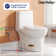 Ally Dual-Flush Elongated One-Piece Toilet with Glazed Surface Modern Toilet with Comfort Seat Height  (Seat Included)
