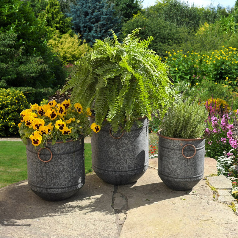 Ensemble de jardinières 3 pièces Old Forge Chubby Belly, 18,75 po