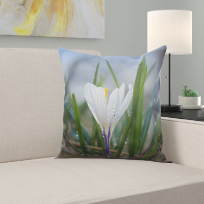 Coussin décoratif nature