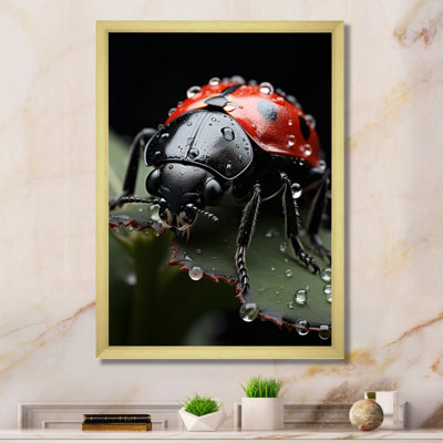 Animal coccinelle I - animaux, impressions sur toile