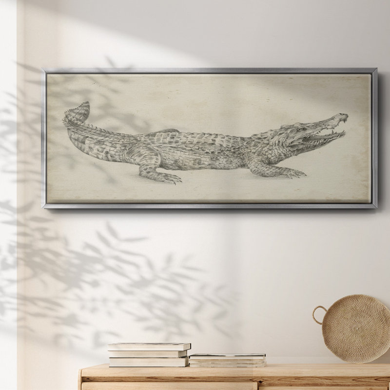 Crocodile Sketch- Framed Canvas, 20" H x 50" W