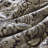 Polyester Jacquard Comforter 3 Piece Set-116312002-116312007