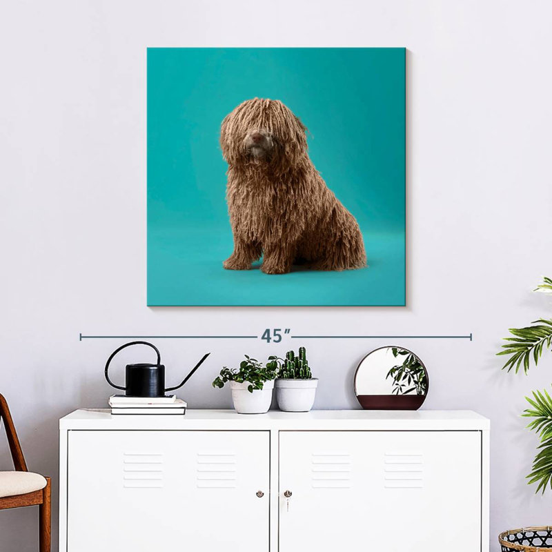 Crowle Komondor Dog, H 30 po x l 30 po