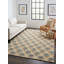 Aquila Geometric Area Rug in Gray/Beige/Brown-1505405836