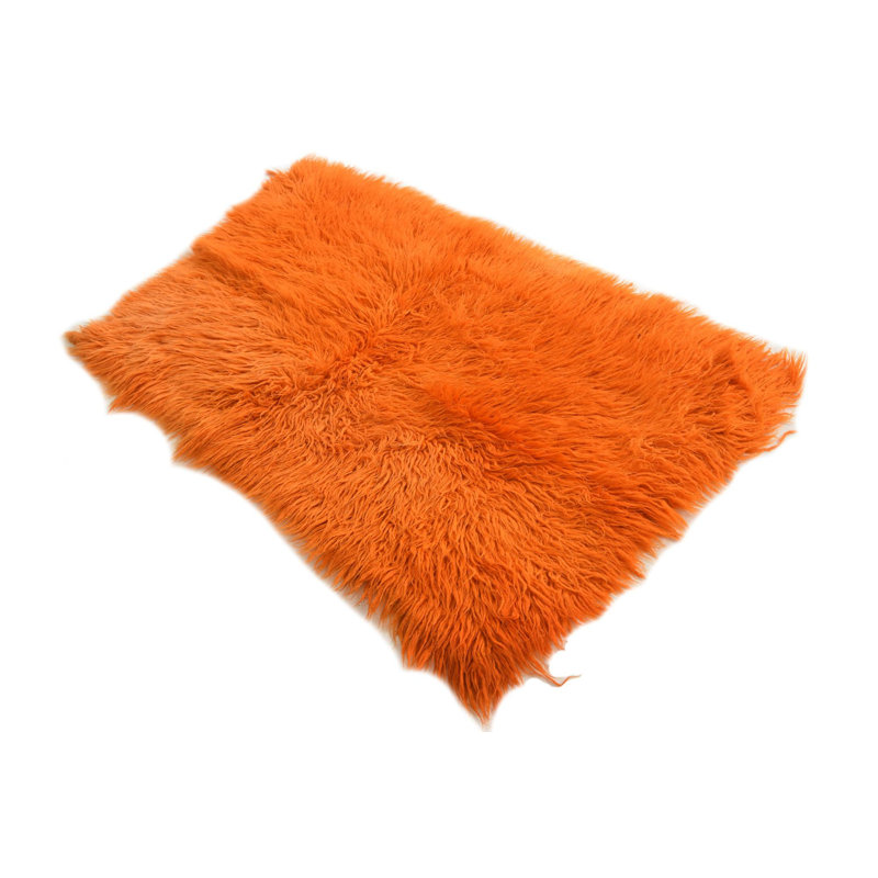 Aabha Orange Rug