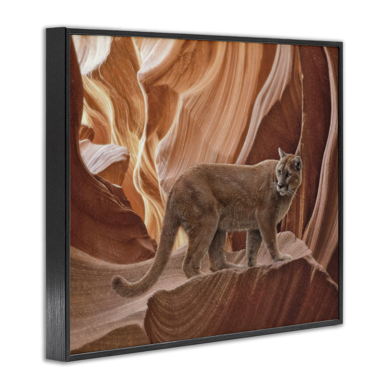 Cougar Canyon View, estampe numérique, conception de Collin Bogle, Giclée encadrée noir minuit, H 24 po x l 30 po
