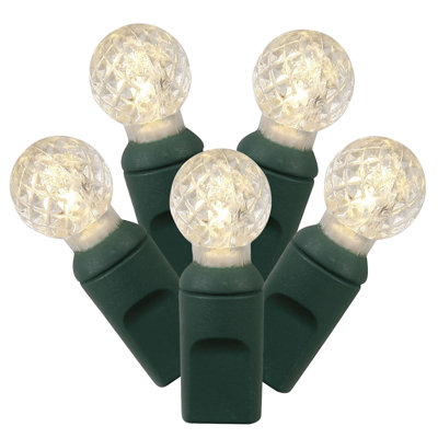 Set of 50 LED G12 Berry Christmas Lights 24' - Green Wire