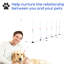 Trousse d'obstacles pour chien Promeut les activités extérieures du chien. Et portable. Configuration entièrement réglable. Renforcer la connexion avec les animaux de compagnie. Polypropylène blanc.