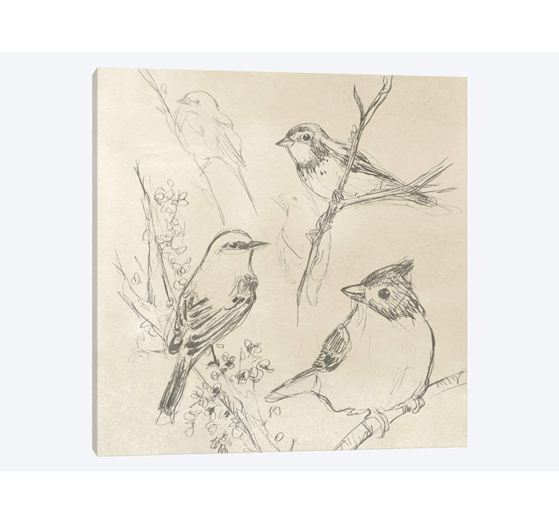 « rétro songbird croquis i », impression sur toile, H 18 po x l 18 po x P 1,5 po, Toile tendue, Pas de tapis